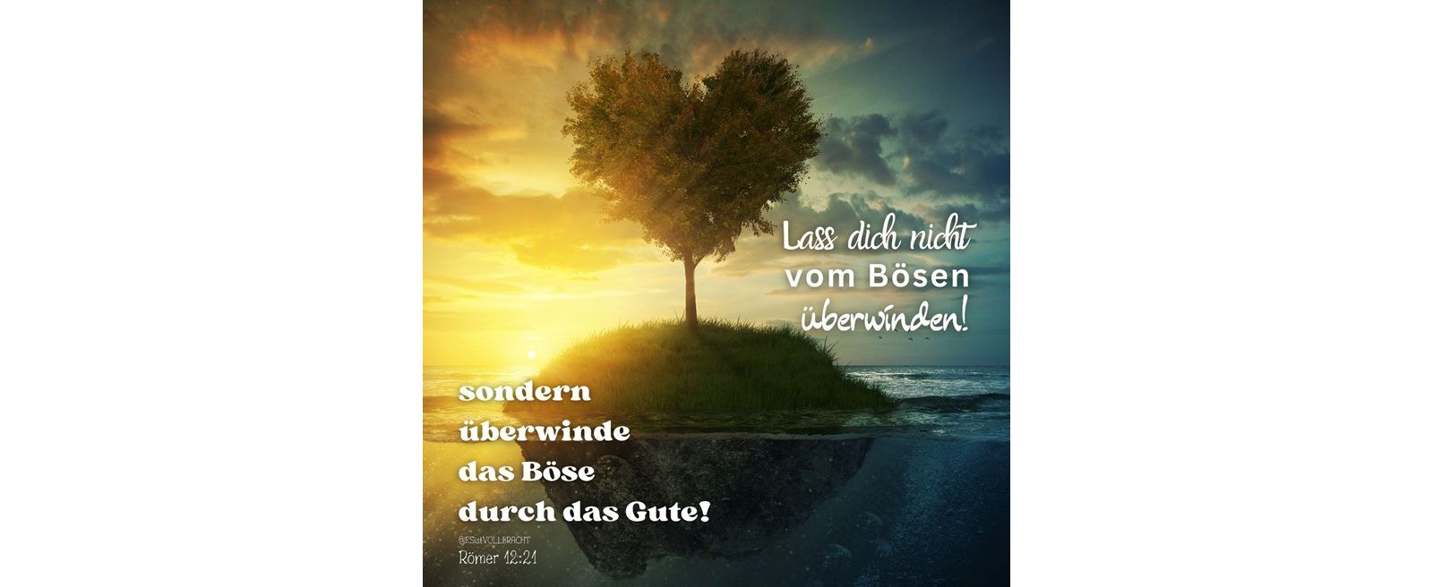 Anwaltskanzlei Schulte - Rechtsanwalt Chemnitz