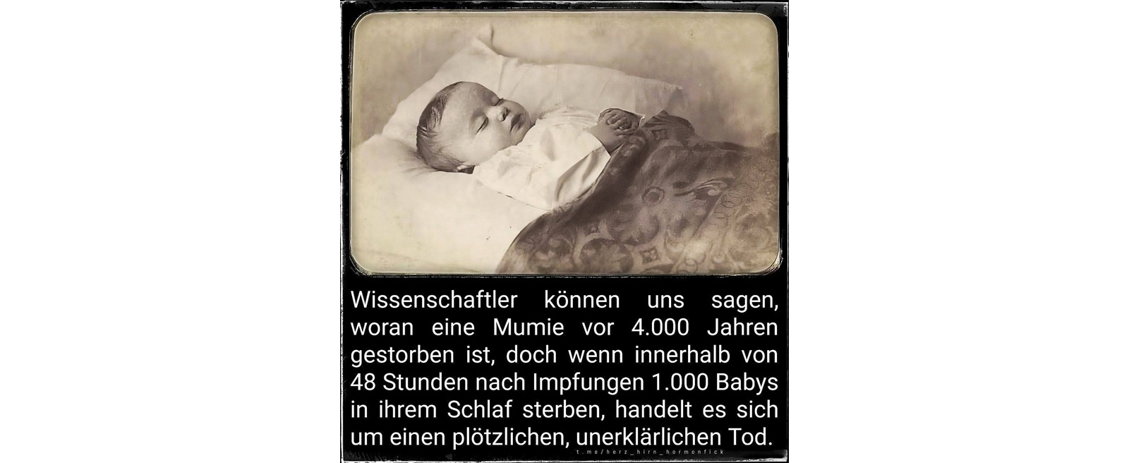 Anwaltskanzlei Schulte - Rechtsanwalt Chemnitz